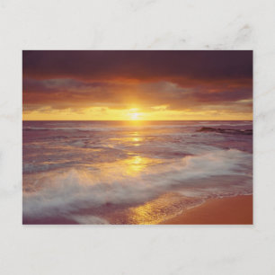 Postal EE. UU., California, San Diego. Playa Sunset Cliff