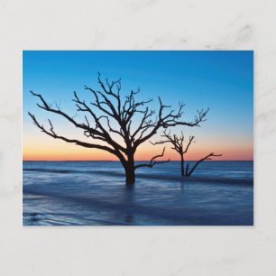 Postal EE. UU., Carolina del Sur, Isla Edisto, Bahía Bota