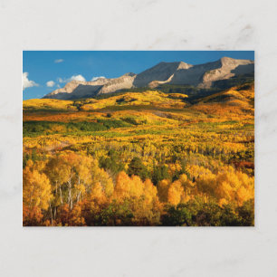 Postal EE. UU., Colorado, Bosque Nacional Gunnison