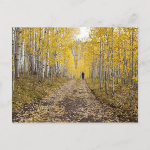Postal EE. UU., Colorado, Bosque Nacional Gunnison cerca