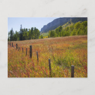Postal EE. UU., Colorado, Bosque Nacional San Juan, a lo