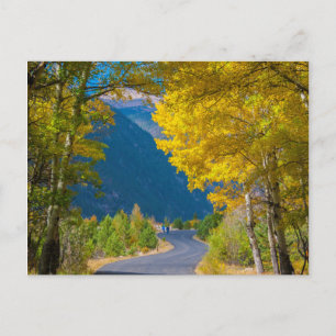 Postal EE. UU., Colorado. Carretera flanqueada por álamos