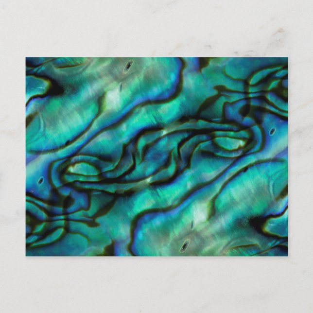 Postal EE.UU., Colorado, Lafayette. Montaje de la concha  (Anverso)