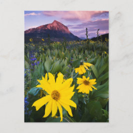 Postal EE. UU., Colorado, Mt. Crested Butte