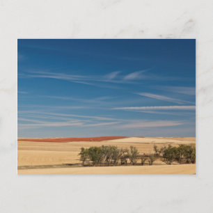 Postal EE. UU., Dakota del Sur, Murdo, paisaje de pradera