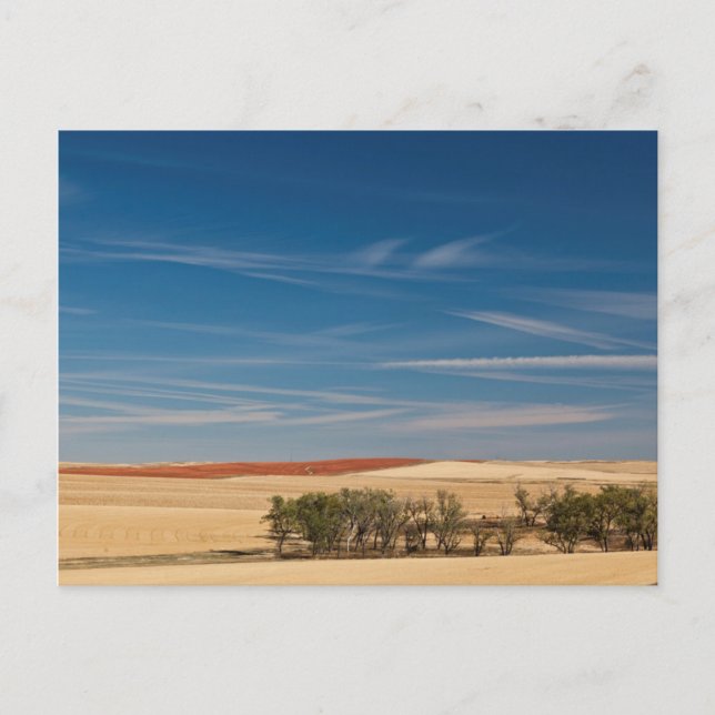 Postal EE.UU., Dakota del Sur, Murdo, Paisaje de Prairie (Anverso)