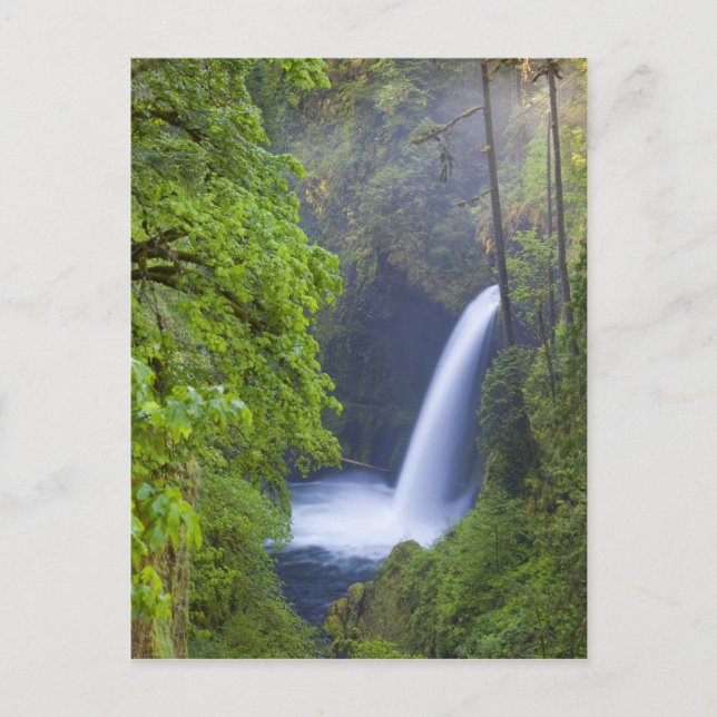 Postal EE. UU., Eagle Creek, Columbia Gorge, Oregon. (Anverso)