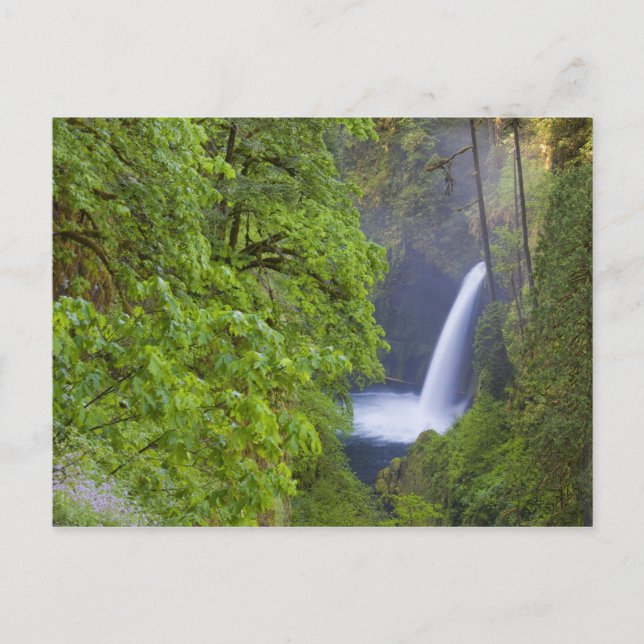 Postal EE. UU., Eagle Creek, Columbia Gorge, Oregon. 2 (Anverso)