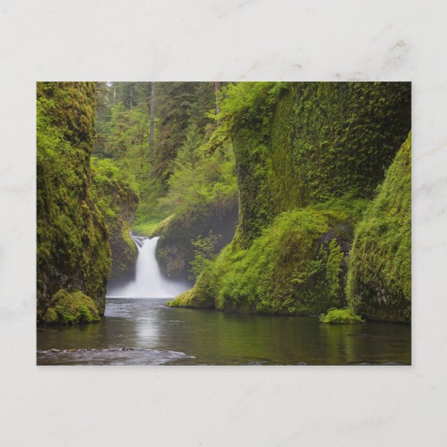 Postal EE. UU., Eagle Creek, Columbia Gorge, Oregon. 3 (Anverso)