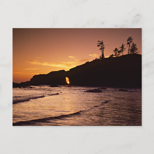 Postal EE. UU., Estado de Washington, Parque Nacional Olí (Anverso)