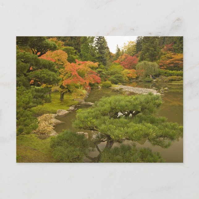 Postal EE. UU., Estado de Washington, Seattle. Japonés (Anverso)