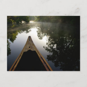 Postal EE.UU., Florida, Bosque Nacional Ocala, Alexander