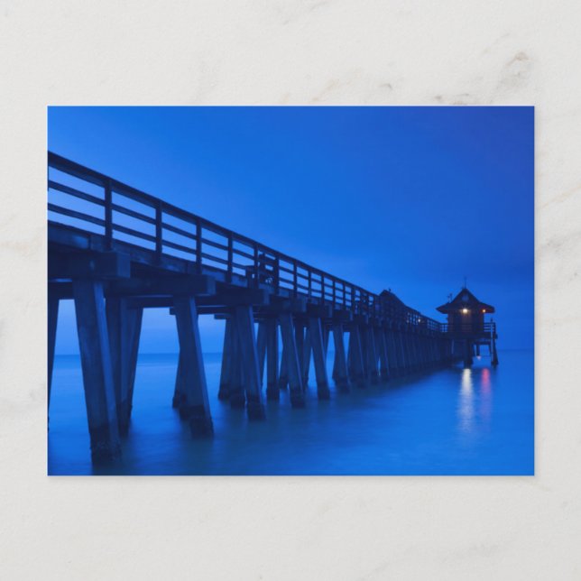 Postal EE. UU., Florida, Costa del Golfo, Nápoles, Muelle (Anverso)