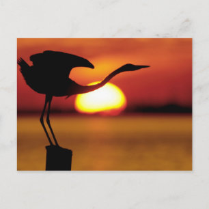 Postal EE. UU., Florida, San Petersburgo, Fort De Soto