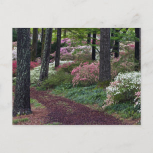 Postal EE. UU., Georgia, Callaway Gardens. Camino