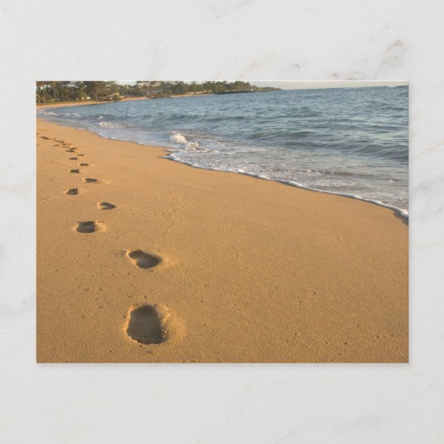 Postal EE. UU., Hawái, Kauai, Kapa'a, frente a la playa.  (Anverso)