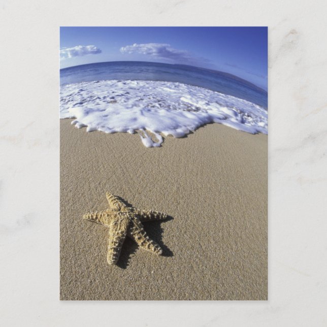 Postal EE. UU., Hawái, Maui, Makena Beach, Estrella de ma (Anverso)