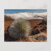 EE. UU., Hawái, Maui, Parque Nacional Haleakala