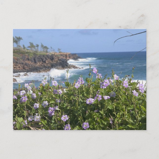 Postal EE.UU., Hawaii, Kauai, cerca de Kapaa, noroeste (Anverso)