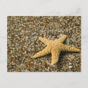 Postal EE. UU., HI, Kauai, Glass Beach con estrellas de m