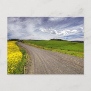 Postal EE. UU., Idaho, Condado de Idaho, Campo de canola
