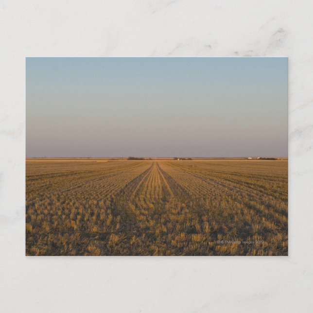 Postal EE.UU., Kansas, campo (Anverso)