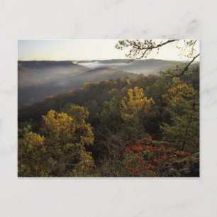 Postal EE.UU., Kentucky. Bosque Nacional Daniel Boone.