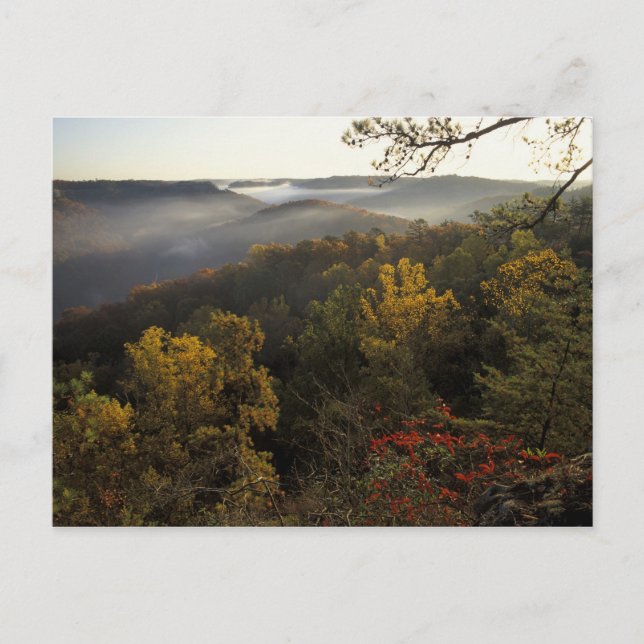 Postal EE.UU., Kentucky. Bosque Nacional Daniel Boone. (Anverso)