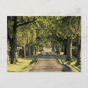 Postal EE. UU., Kentucky, Lexington. Camino de entrada ar
