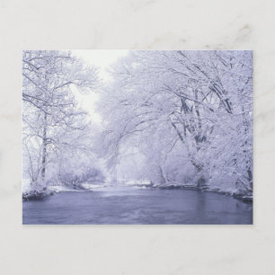 Postal EE.UU., Kentucky, Louisville. Nieve cubierta