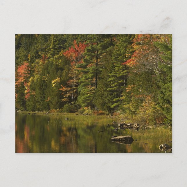 Postal EE. UU.; Maine; Acadia NP. Reflejos de otoño a las (Anverso)