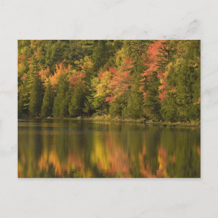 Postal EE. UU.; Maine; Acadia NP. Reflejos de otoño en