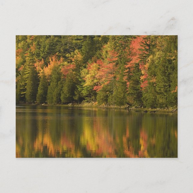 Postal EE. UU.; Maine; Acadia NP. Reflejos de otoño en (Anverso)
