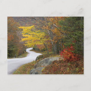 Postal EE.UU., Maine, Camden. Carretera que atraviesa Cam