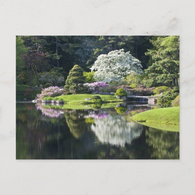 Postal EE.UU., Maine, puerto noreste. Vista de Asticou (Anverso)