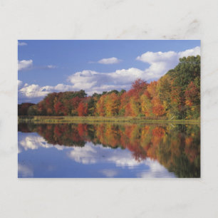 Postal EE.UU., Massachusetts, Acton. Reflejo del otoño