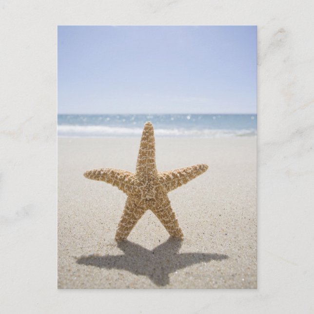 Postal EE.UU., Massachusetts, Cape Cod, Nantucket, cerca (Anverso)