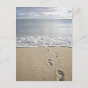 Postal EE.UU., Massachusetts, Cape Cod, pisadas en