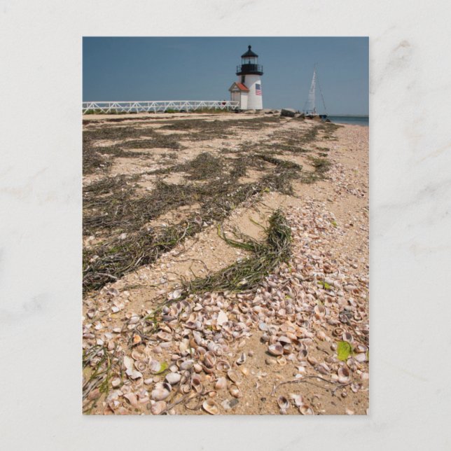 Postal EE. UU., Massachusetts, Nantucket. Concha (Anverso)