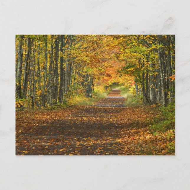 Postal EE.UU., Michigan, península superior. Camino hacia (Anverso)