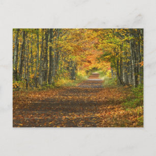 Postal EE. UU., Michigan, Península Superior. Carretera h