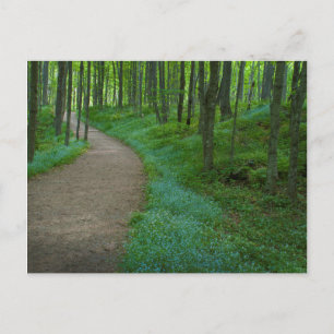 Postal EE. UU., Michigan. Sendero Miner's Falls