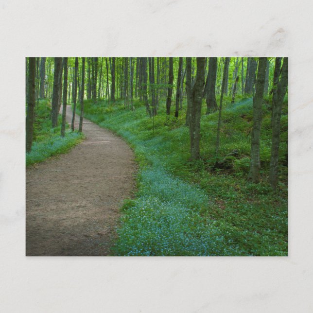 Postal EE. UU., Michigan. Sendero Miner's Falls (Anverso)