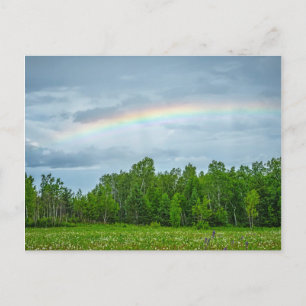 Postal EE.UU., Minnesota. Prado verde con flores silvestr