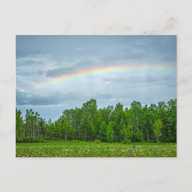 Postal EE.UU., Minnesota. Prado verde con flores silvestr (Anverso)