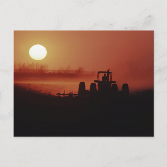 Postal EE. UU., Mississippi, campo de algodón en disquera (Anverso)
