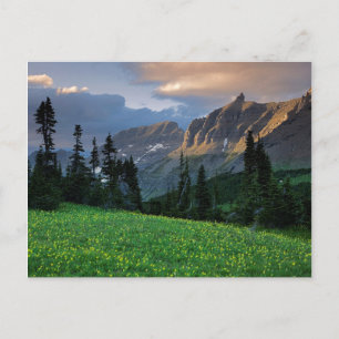 Postal EE. UU., Montana, Parque Nacional Glaciar, Logan P