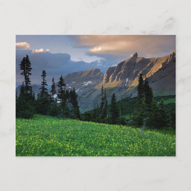 Postal EE. UU., Montana, Parque Nacional Glaciar, Logan P (Anverso)