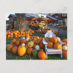 Postal EE.UU., Nueva Inglaterra, Maine, Wells. Pantalla d