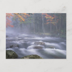 Postal EE. UU., Nueva York, Adirondacks, río Big Moose